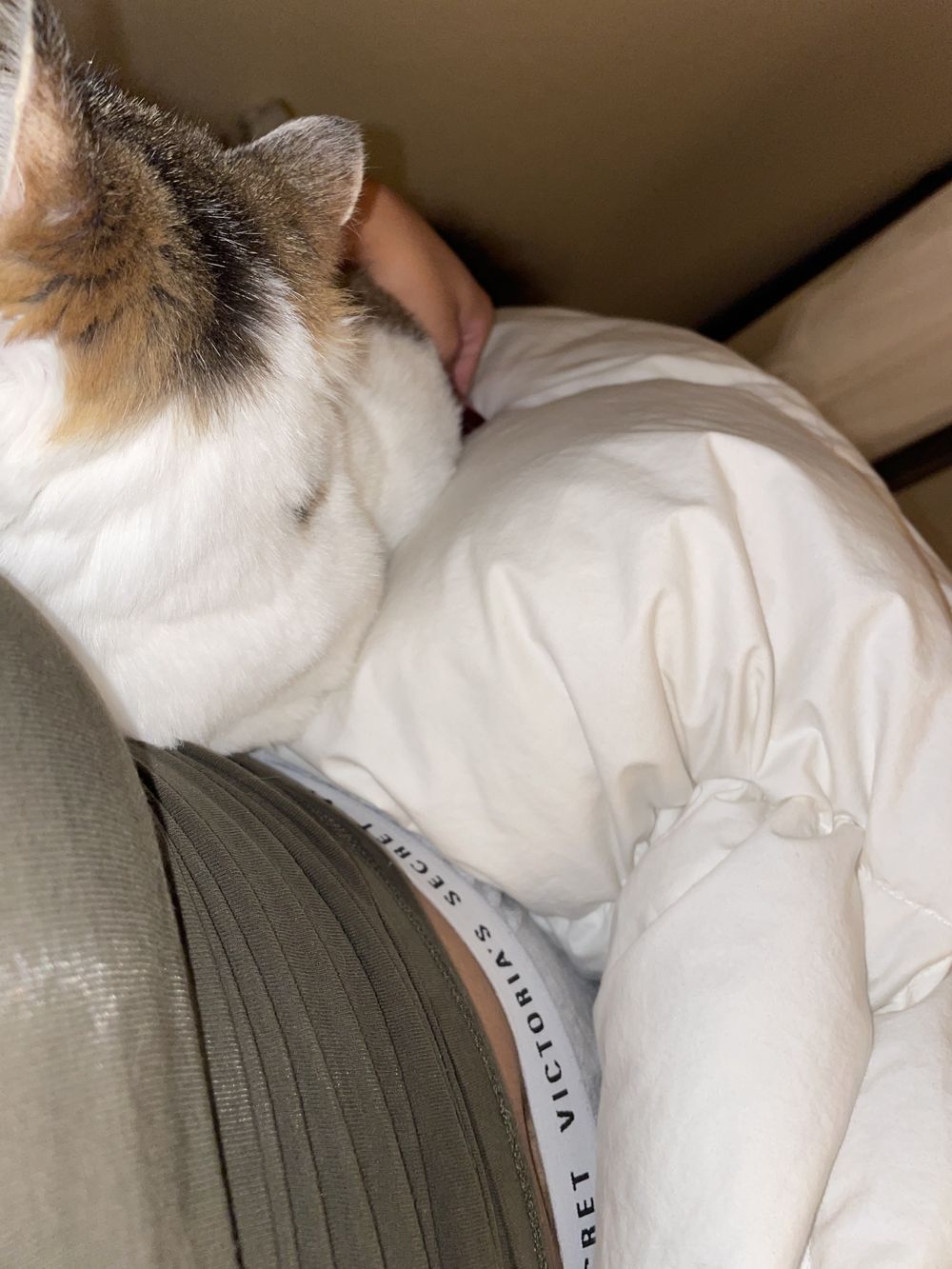jordyyxo OnlyFans profile picture