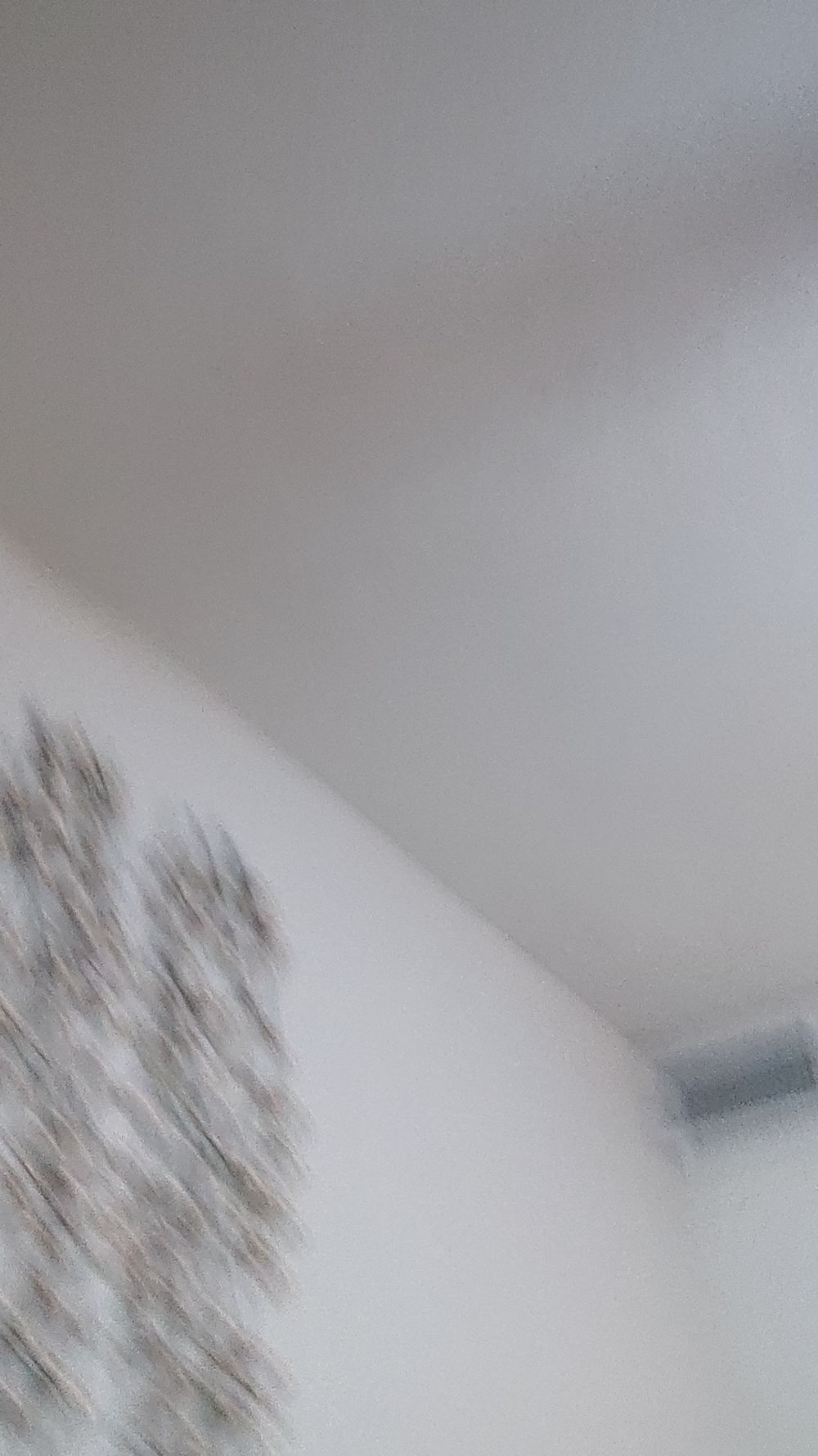 avgboy15 OnlyFans profile picture