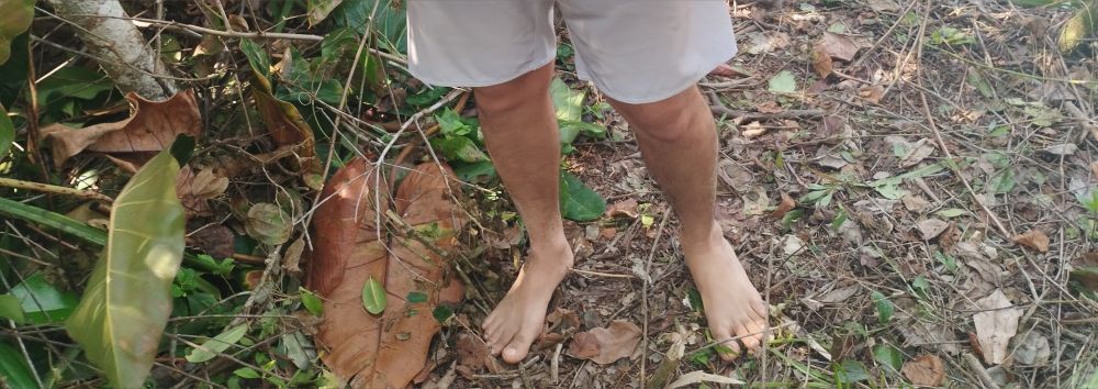 dosramons OnlyFans profile picture