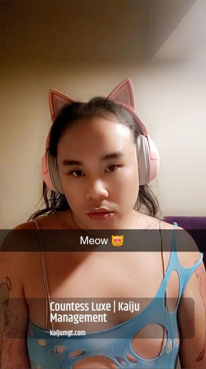 countexxx OnlyFans picture