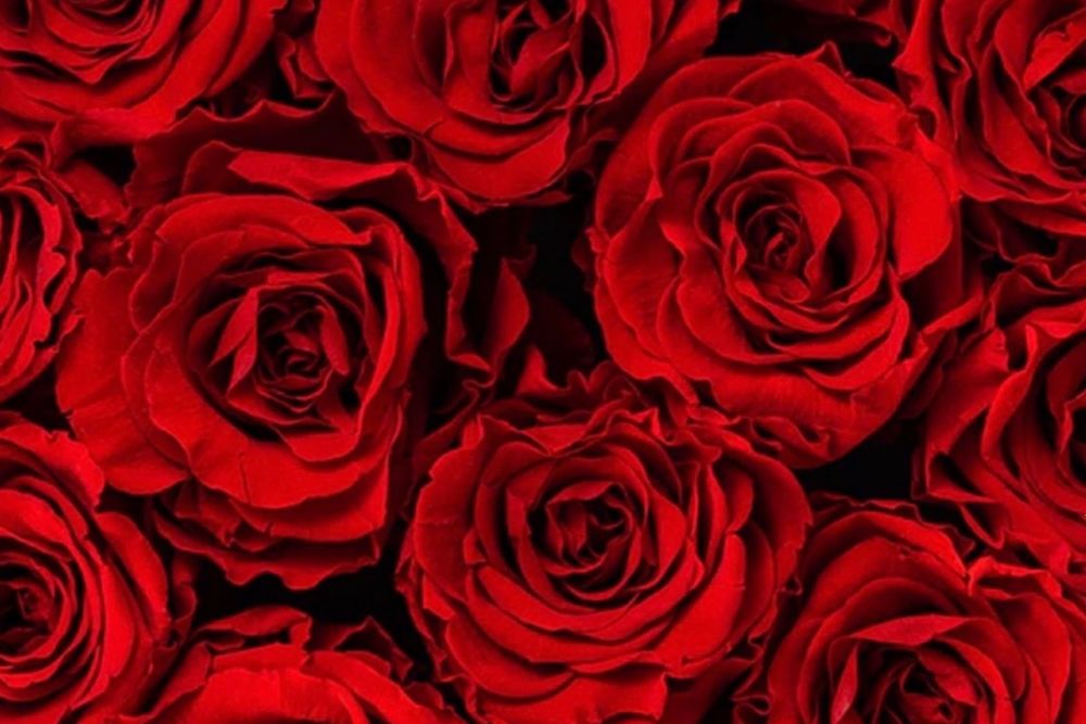 officialkvalentine OnlyFans profile picture