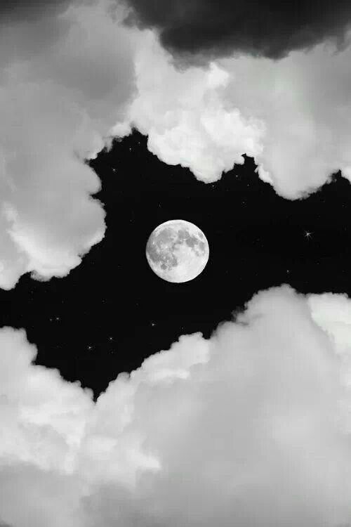 charmedmoon OnlyFans profile picture