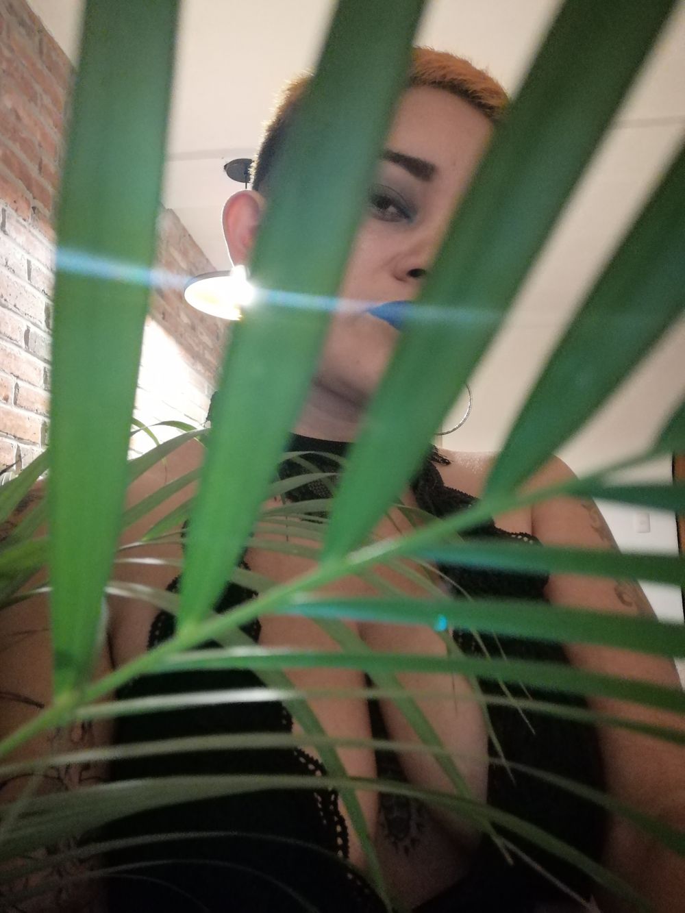gia_tofana OnlyFans profile picture