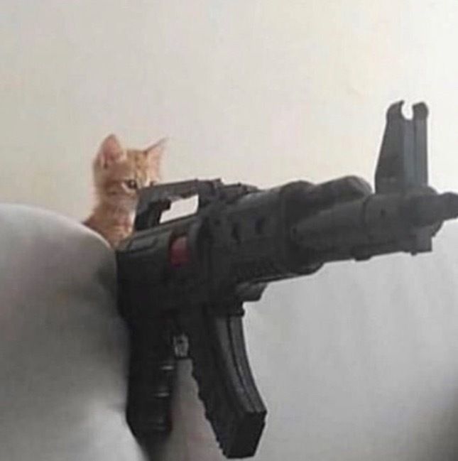 thiccboidylus OnlyFans profile picture