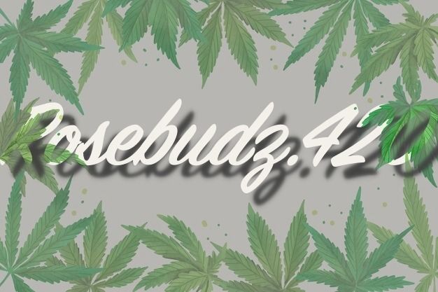 rosebudz.420 OnlyFans profile picture