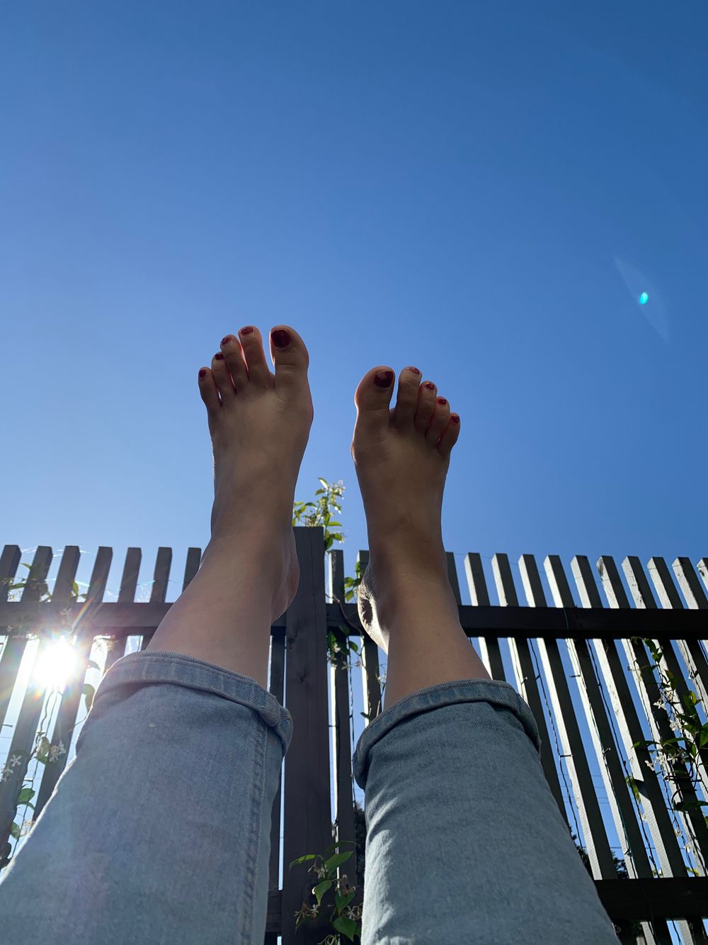 zoehasfeet OnlyFans profile picture