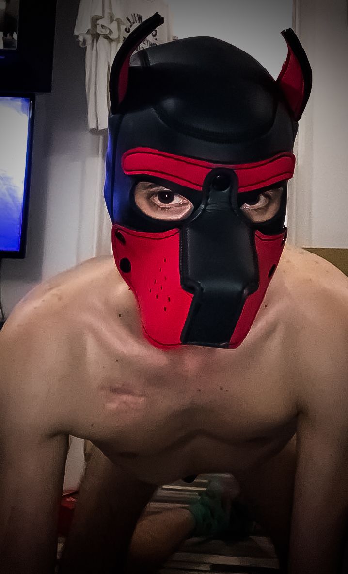 pinkyboi903 OnlyFans profile picture