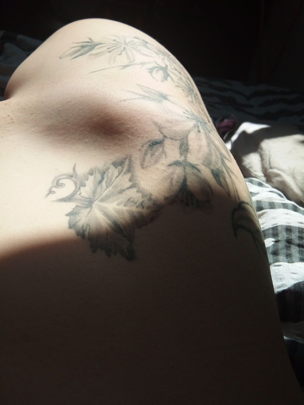 u62993444 OnlyFans profile picture