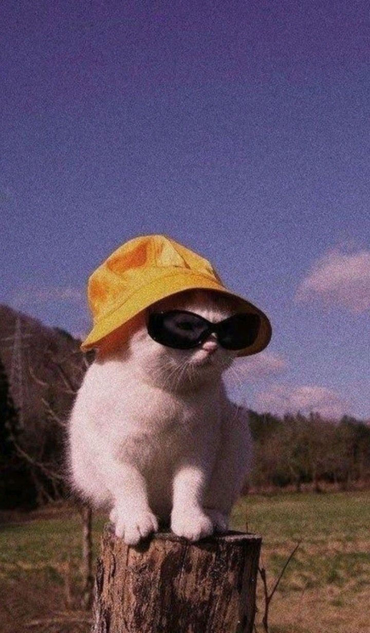 dudiinnhaaa OnlyFans profile picture