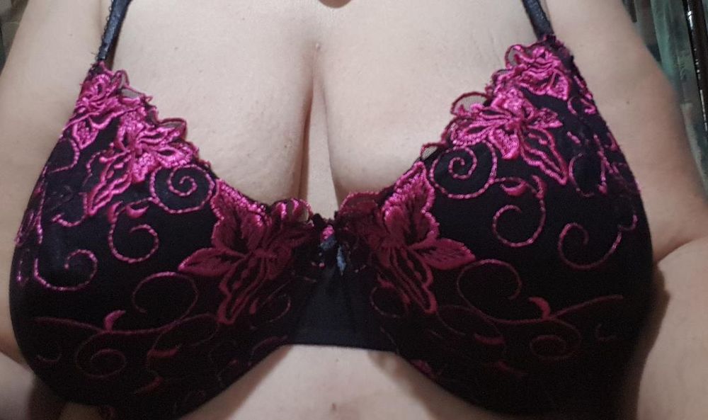 lisamaree OnlyFans profile picture