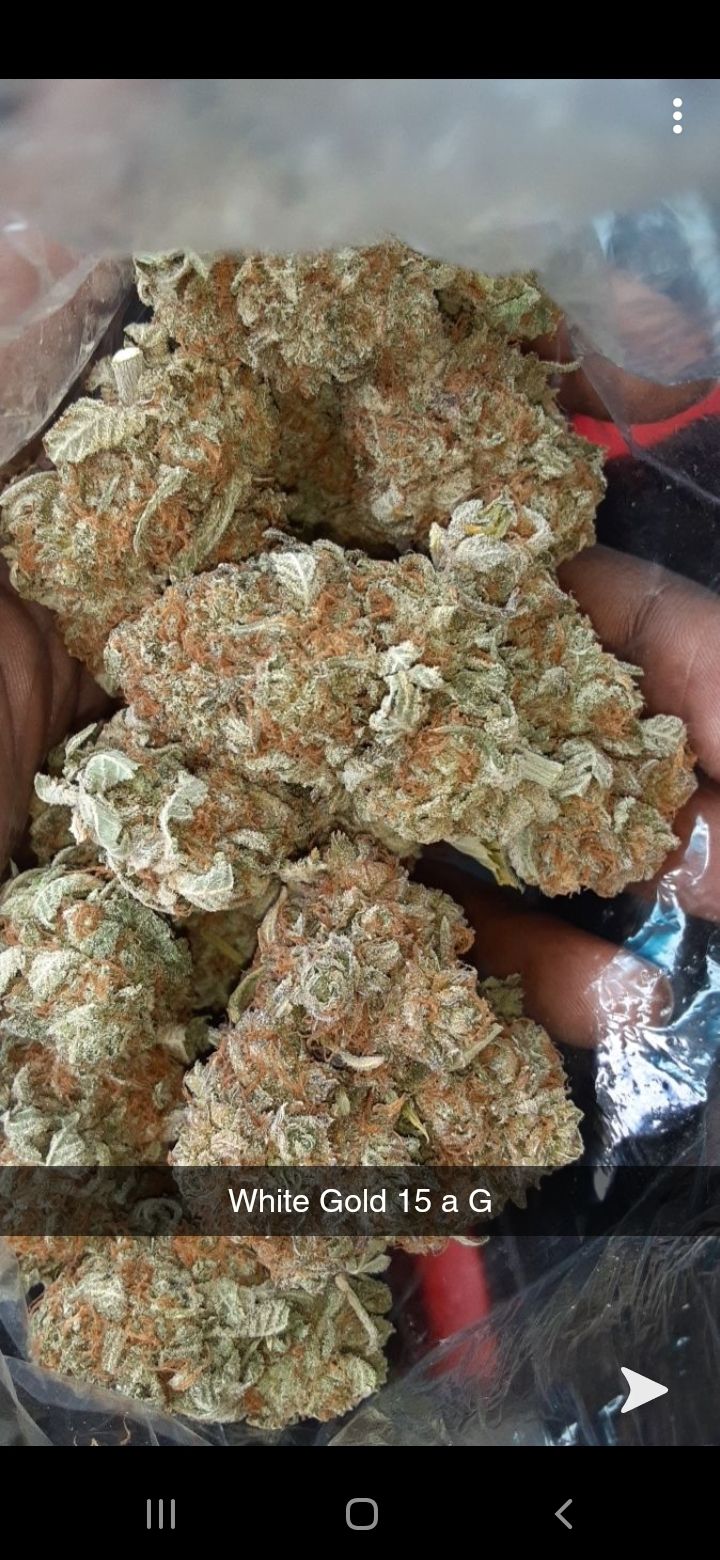 thaprinxe OnlyFans profile picture