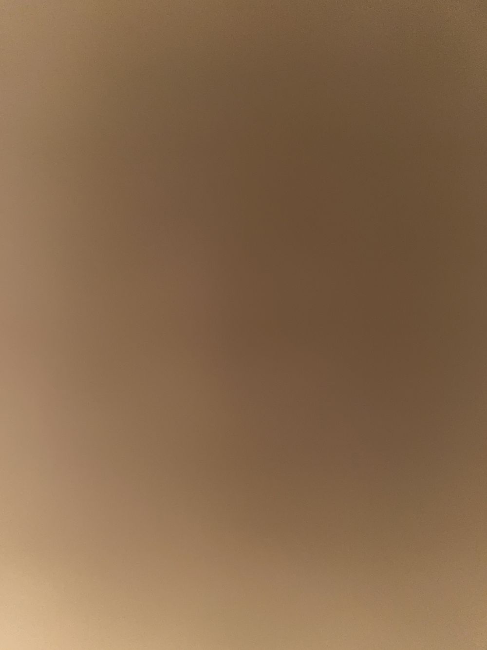 shelbaby OnlyFans profile picture