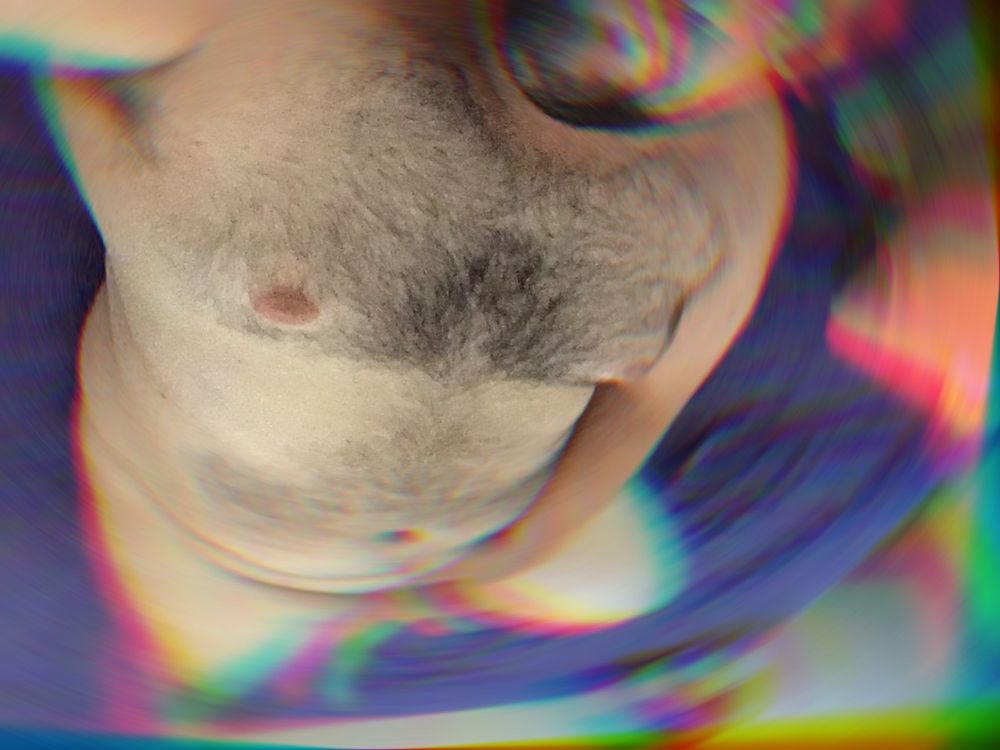 ulibear OnlyFans profile picture
