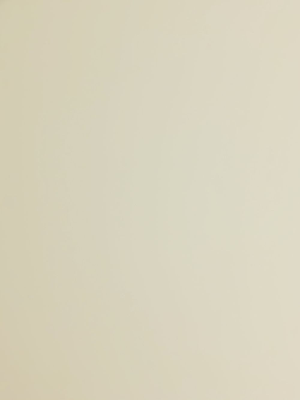 bhadghirlg OnlyFans profile picture