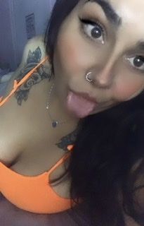 sophiearev OnlyFans profile picture