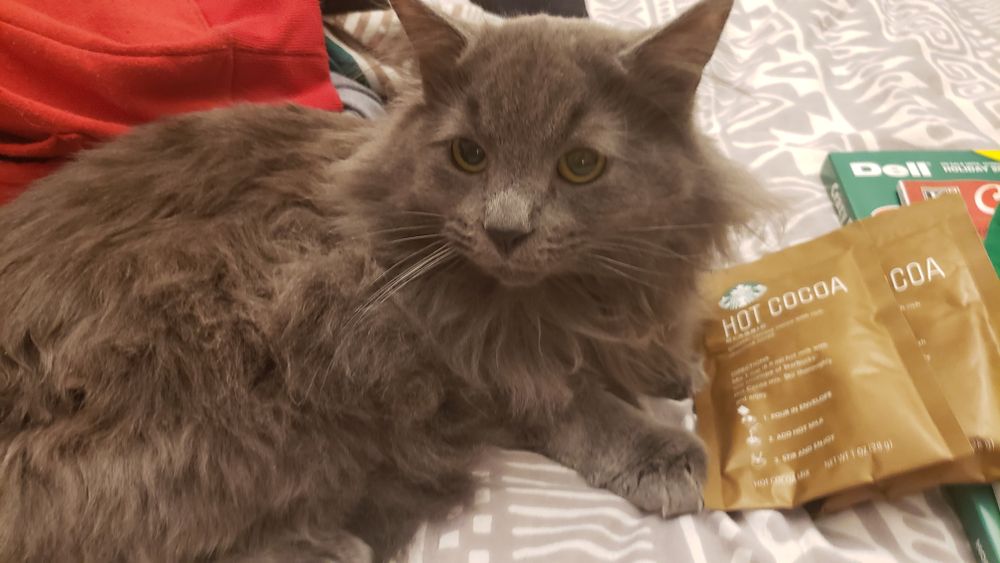 smokeyvenus_official OnlyFans profile picture