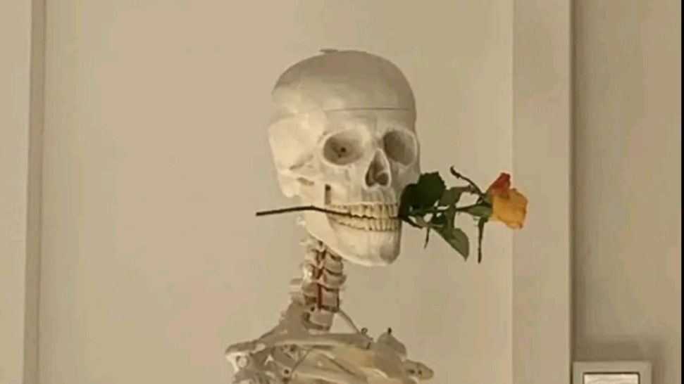 vampjoey OnlyFans profile picture