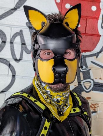 Achillies_Pup