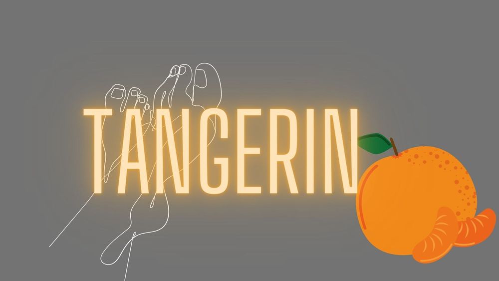 tanjerin96 OnlyFans profile picture