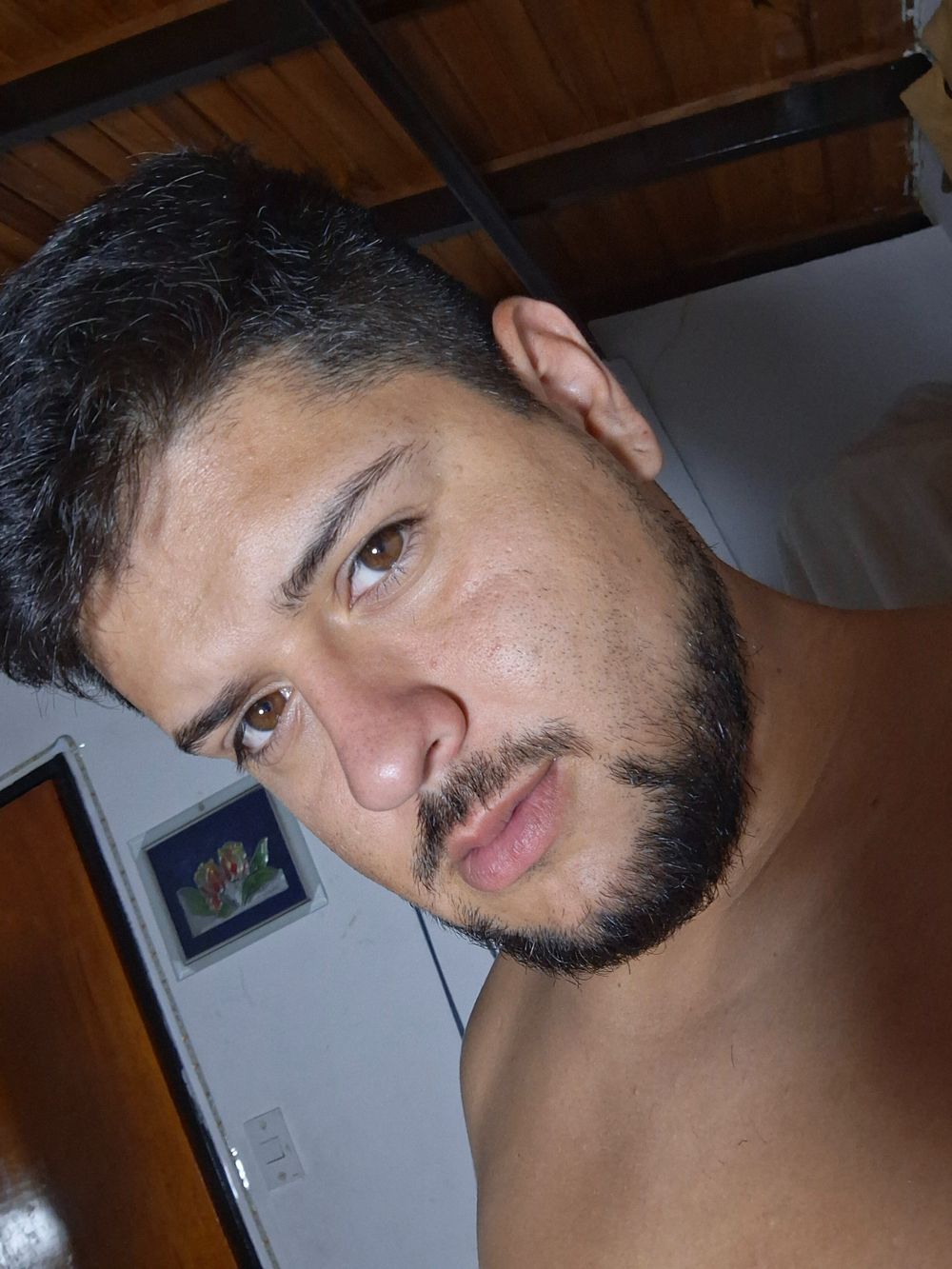 rossell01 OnlyFans profile picture