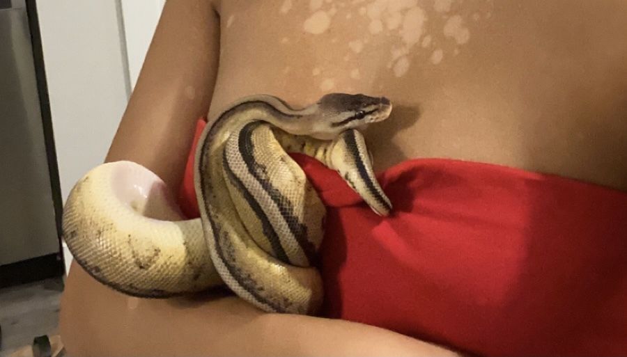 sexysexysharaya OnlyFans profile picture
