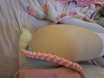 lacydesperation OnlyFans picture