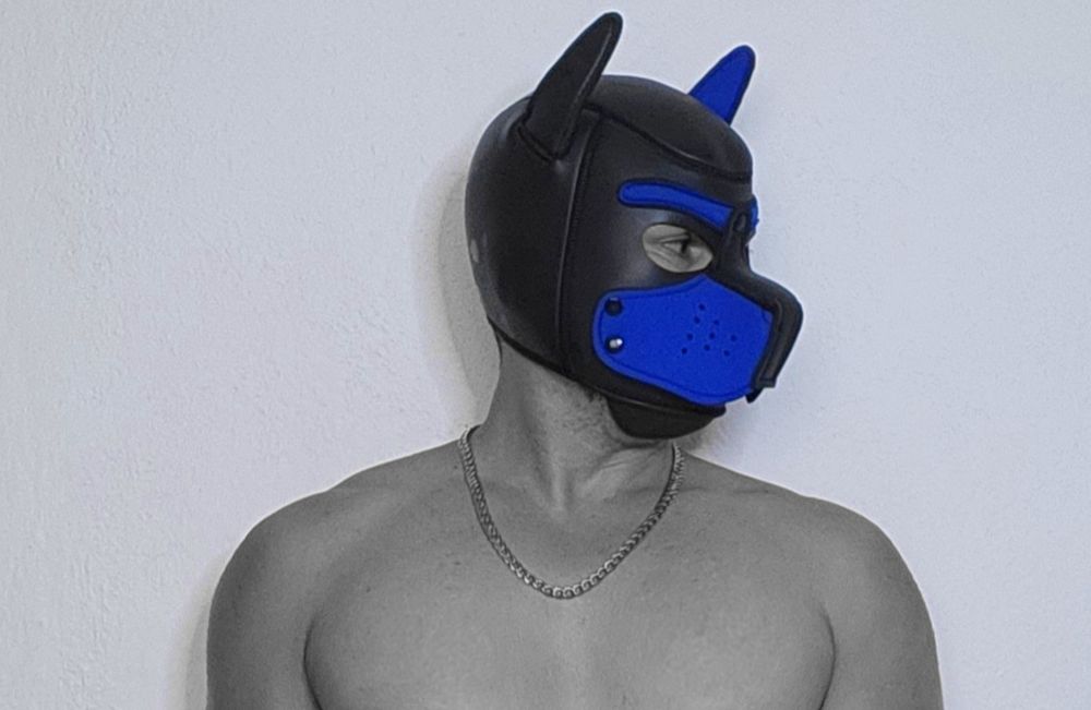 puppbolt OnlyFans profile picture