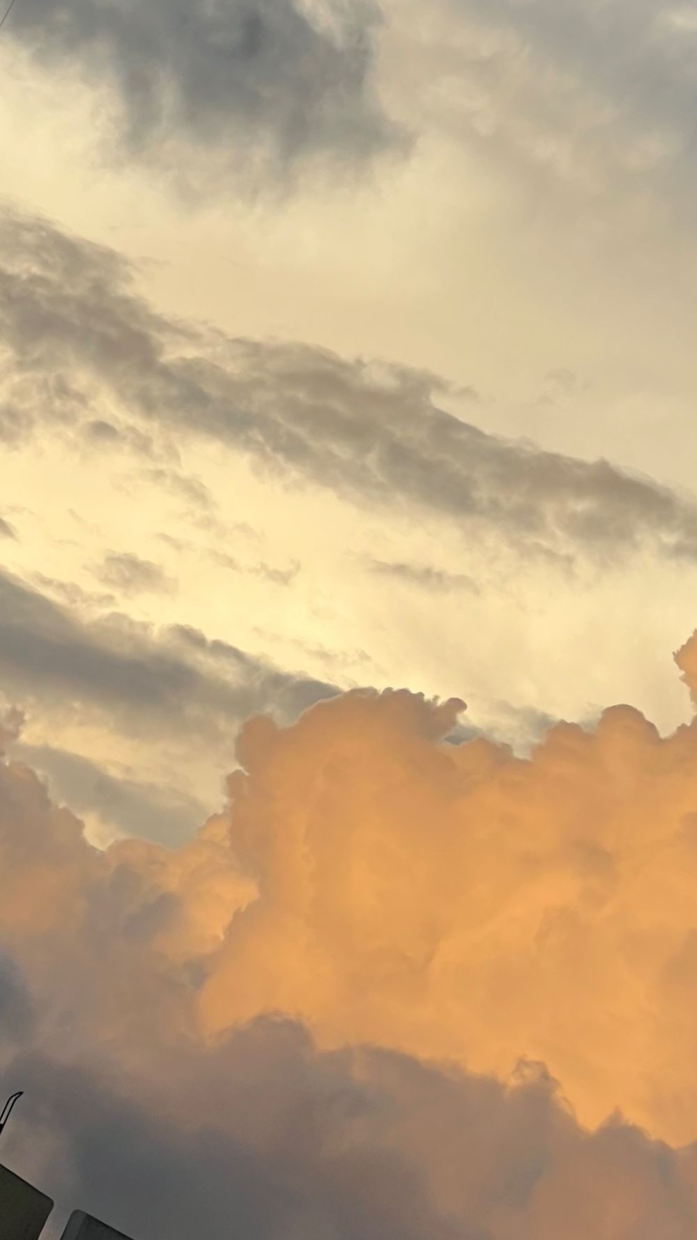 verita123 OnlyFans profile picture