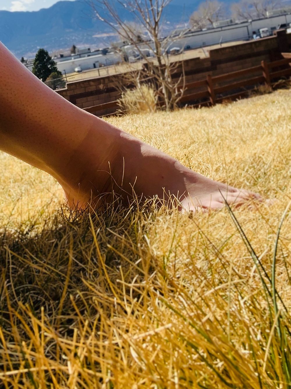 natu.ralsexyfeet OnlyFans profile picture