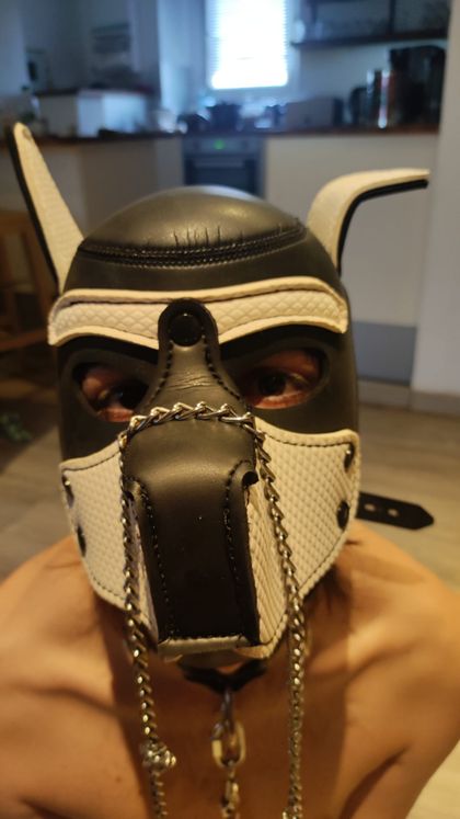 pupakari OnlyFans picture