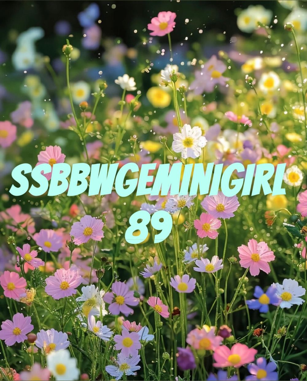ssbbwgeminigirl89 OnlyFans profile picture