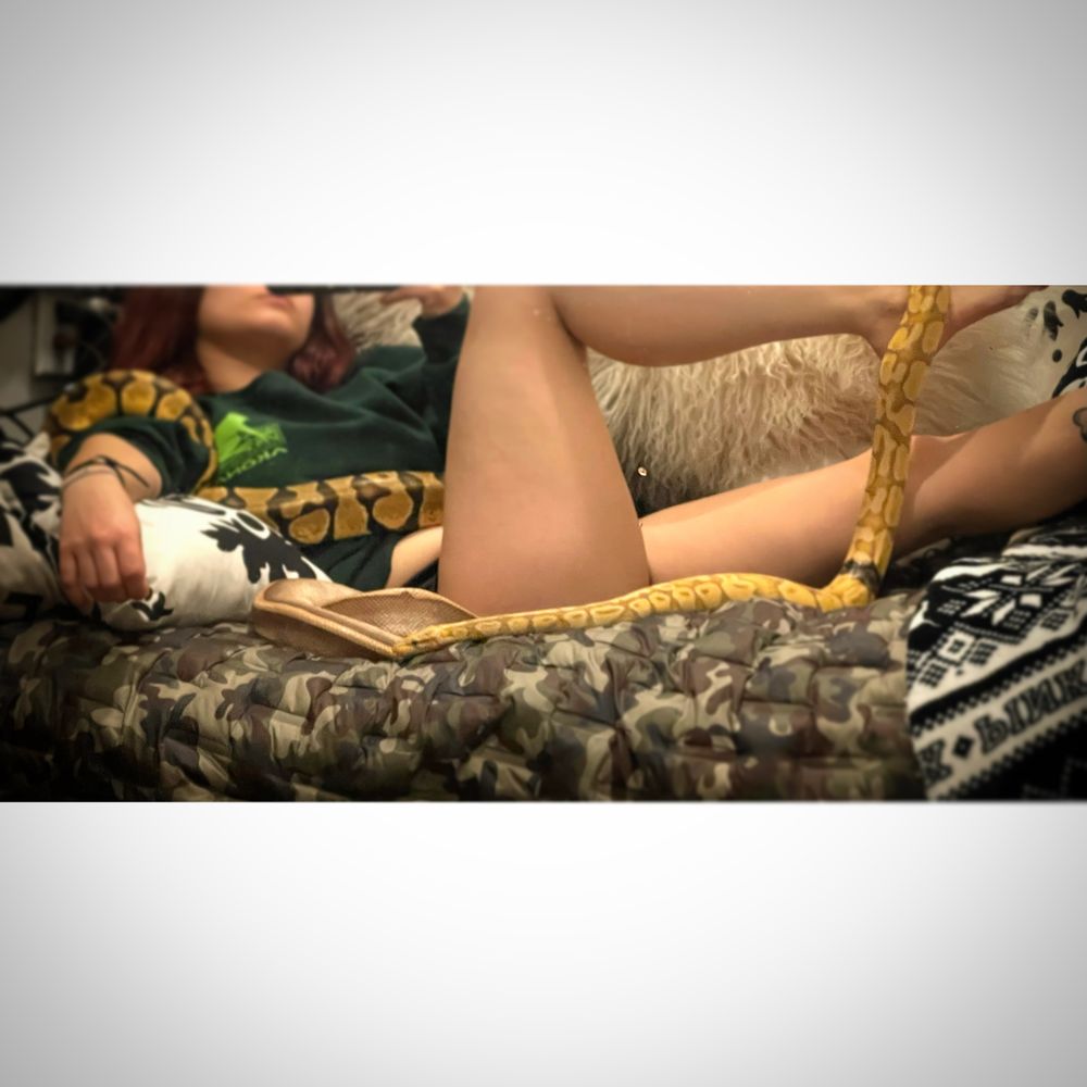 jungleofeve OnlyFans profile picture