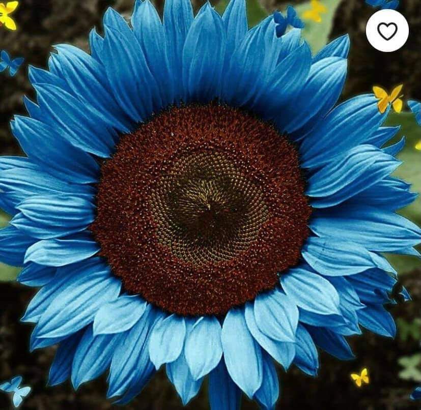 bernadettejean OnlyFans profile picture