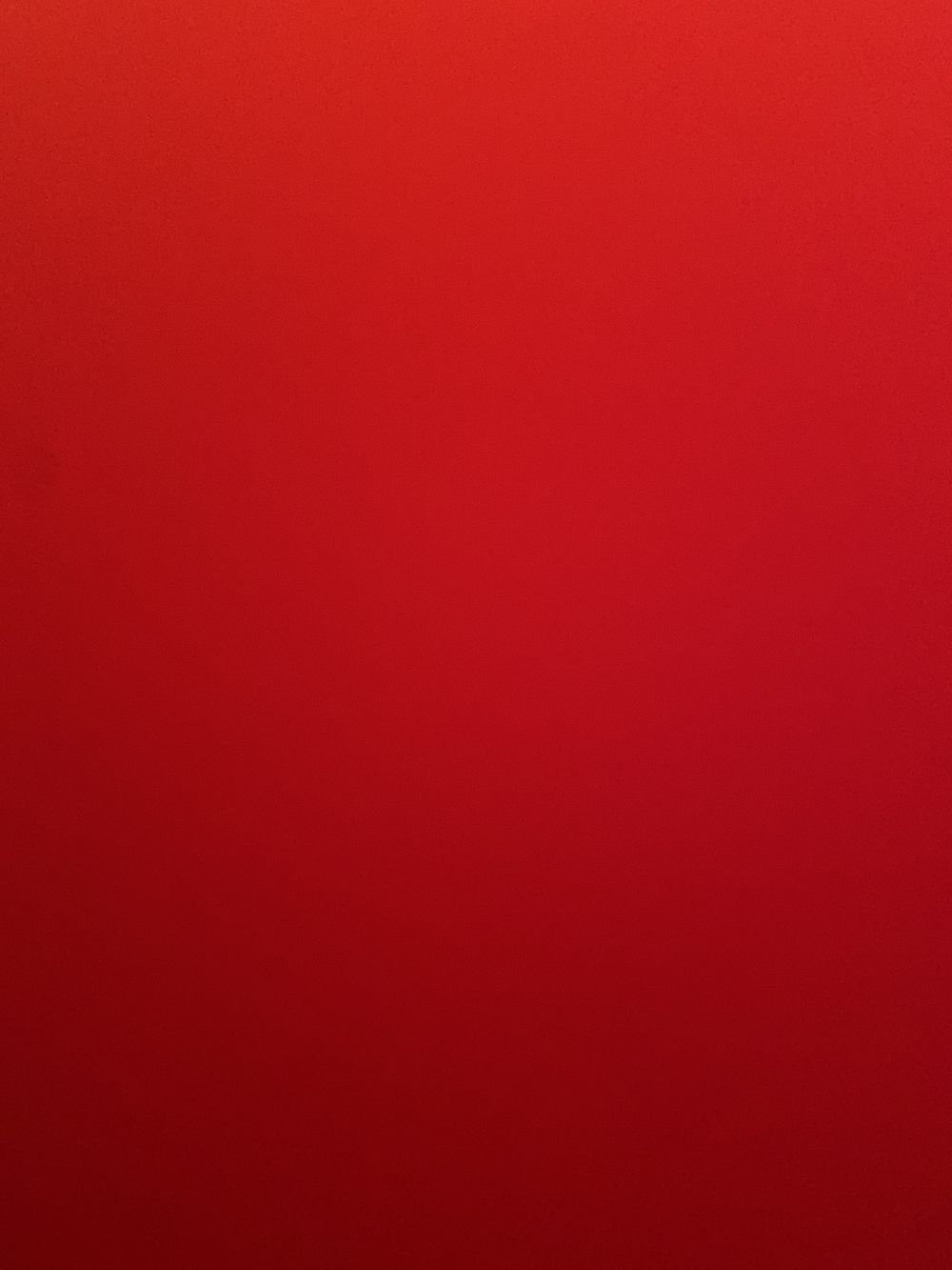 erharda OnlyFans profile picture