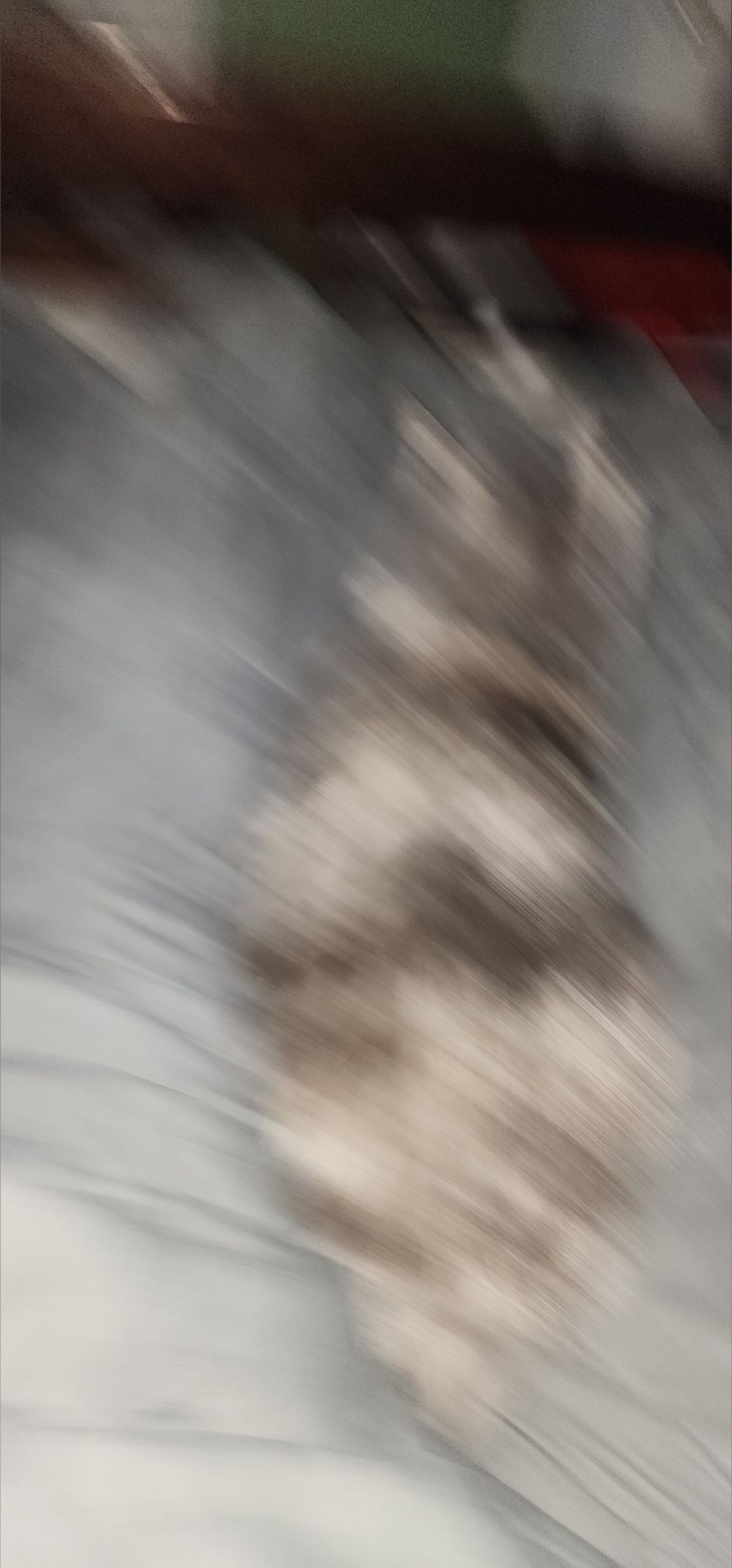 nullzerqster OnlyFans profile picture