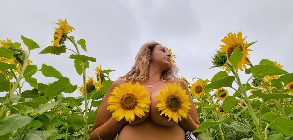 ellaxxstarfree OnlyFans profile picture