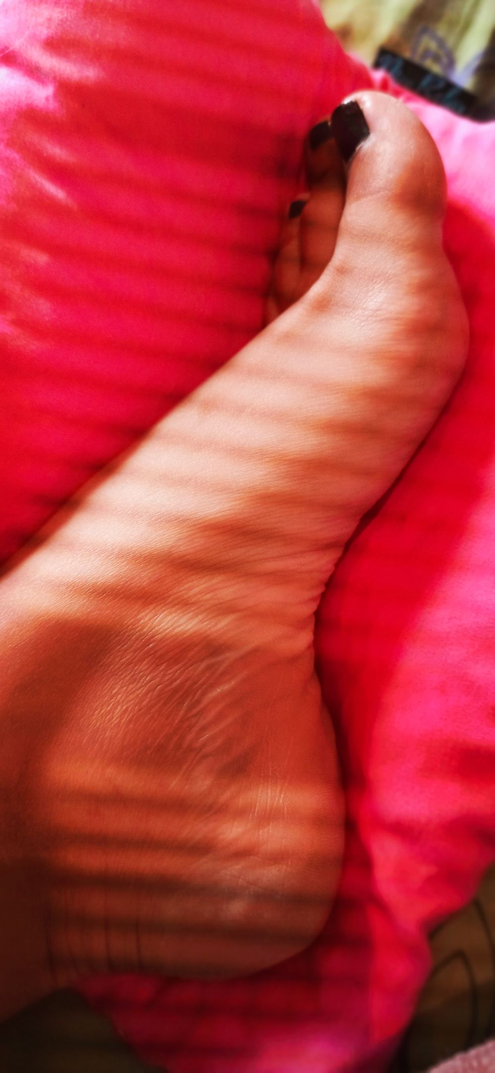 u72951347 OnlyFans profile picture