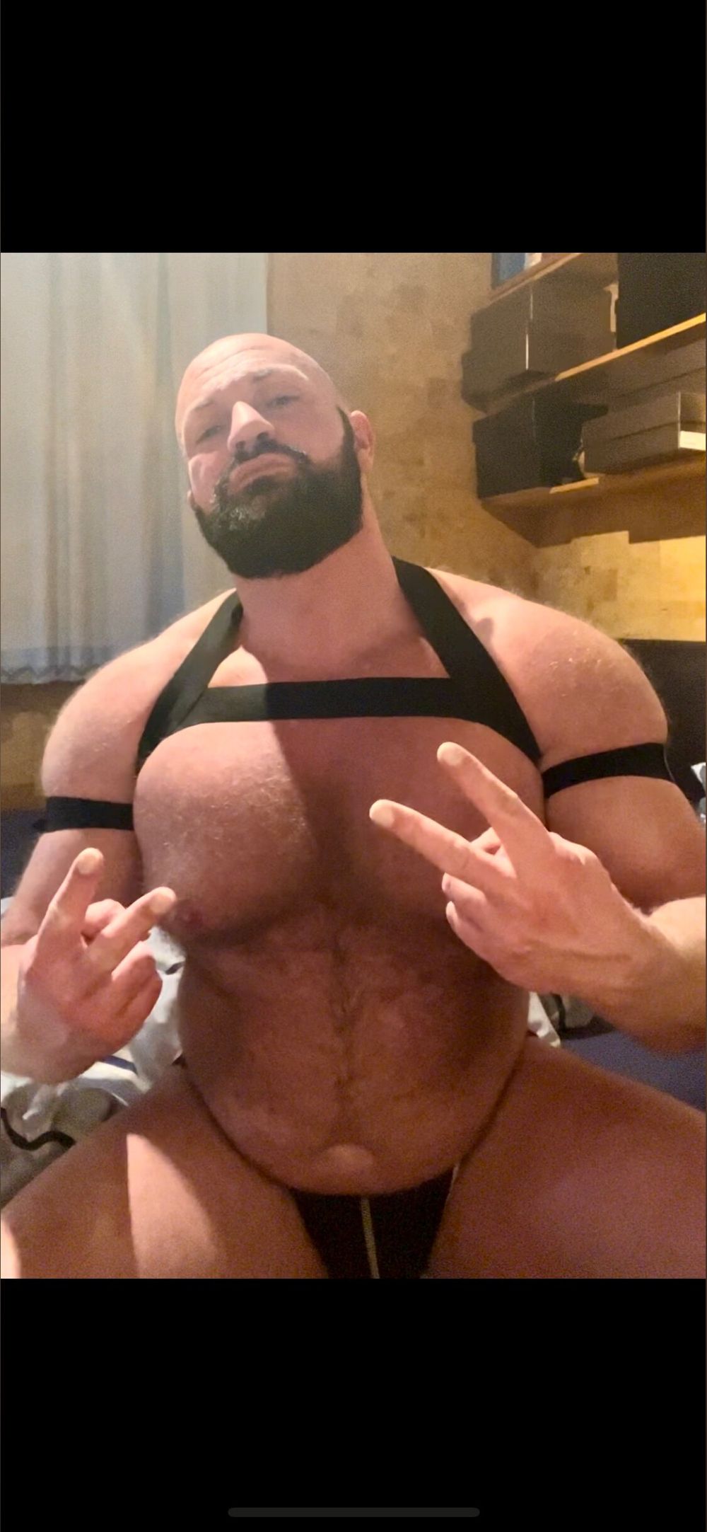 machobull OnlyFans profile picture