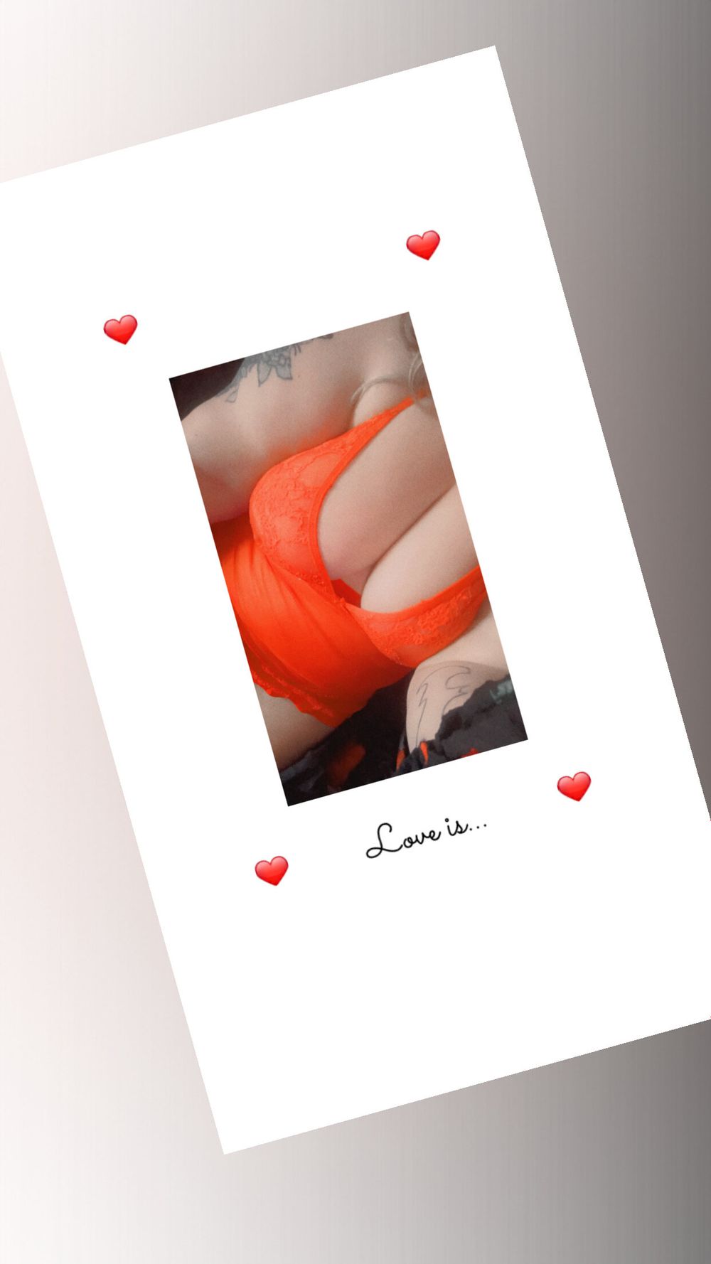 turtlelover504 OnlyFans profile picture