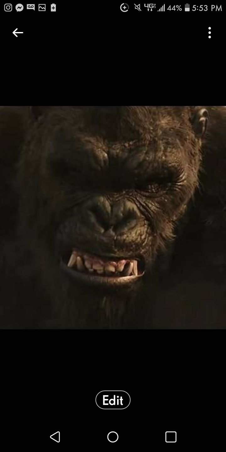 landofwolves_mt OnlyFans profile picture