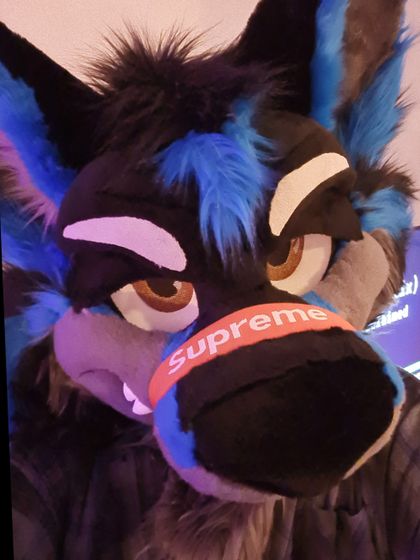 loomywoof OnlyFans picture
