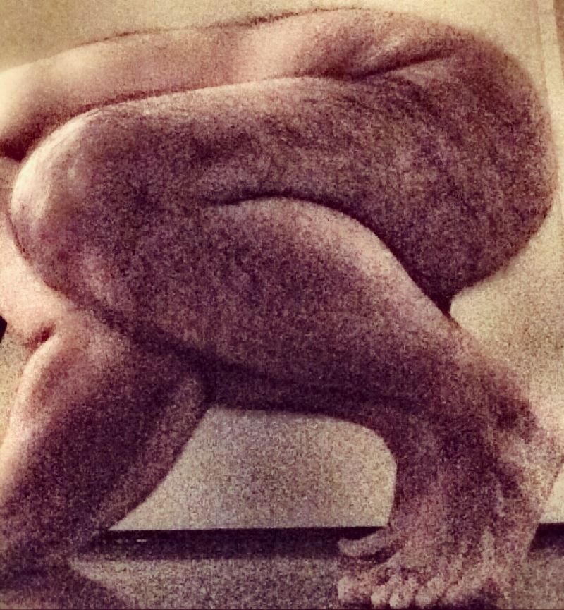 cappello2 OnlyFans profile picture