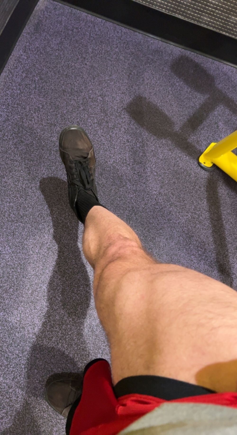 chiseledcalves OnlyFans profile picture