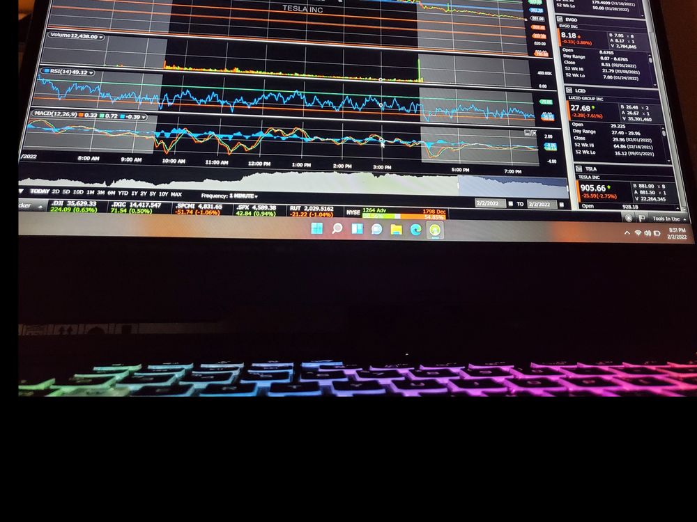 daytradingmanhoe OnlyFans profile picture