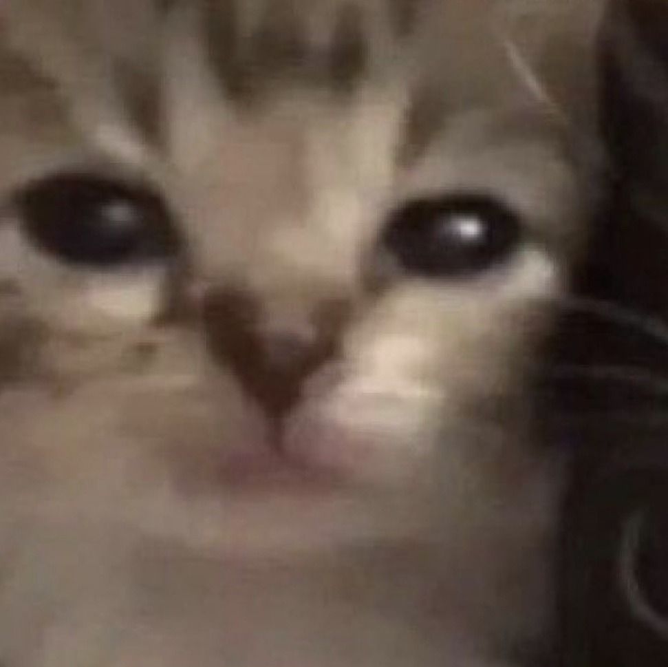 kepega OnlyFans profile picture
