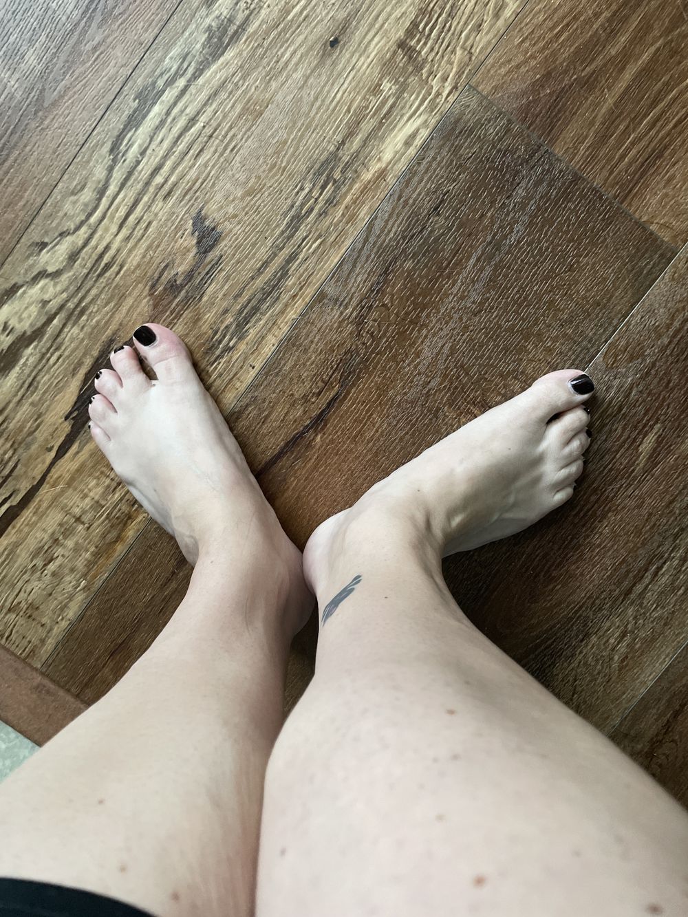 pedites OnlyFans profile picture
