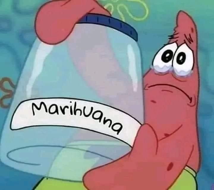 pelanamag OnlyFans profile picture