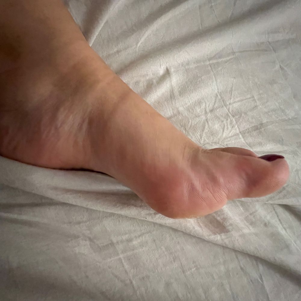 soft_feet_dream_x OnlyFans profile picture