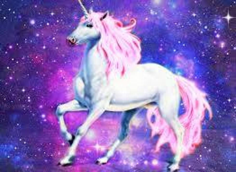 pinkcurvyunicorn31 OnlyFans profile picture