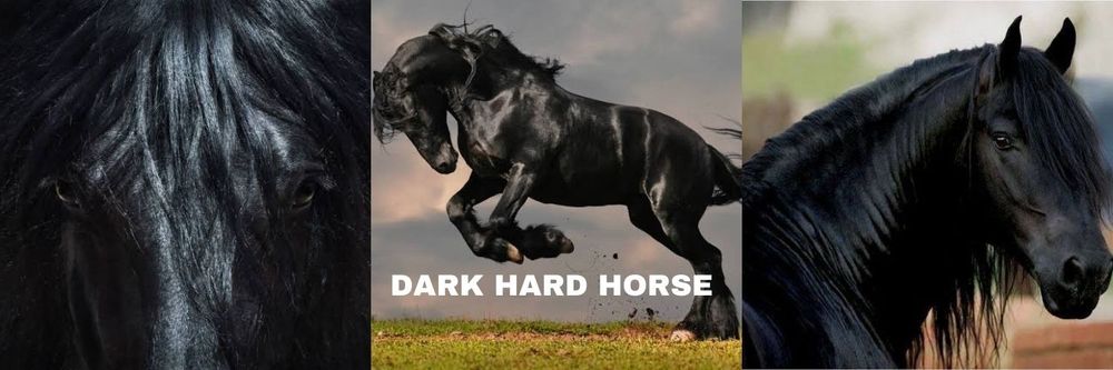 harddarkhorse OnlyFans profile picture